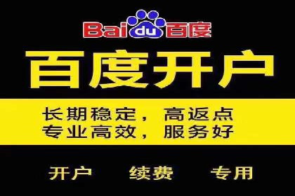 某电商平台的SEM推广策略及效果分析